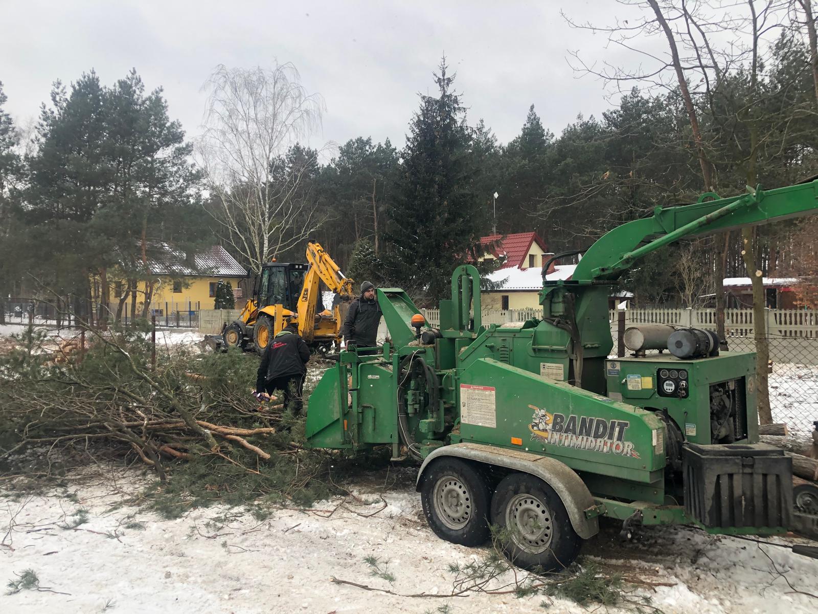 Bandit 1090XP — zrębkowanie grubych pni